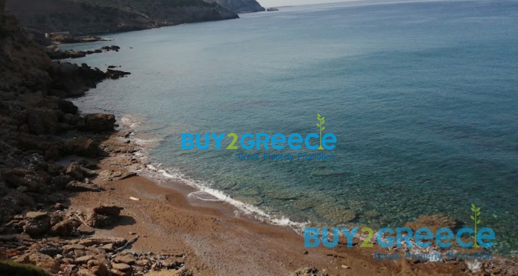 Αγροτεμάχια 22.780 τ.μ. προς πώληση, Φοινικιές