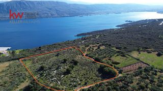 Οικόπεδο 14.244 τ.μ. για πώληση