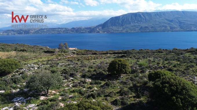 Οικόπεδο 14.244 τ.μ. προς πώληση, Αρώνι