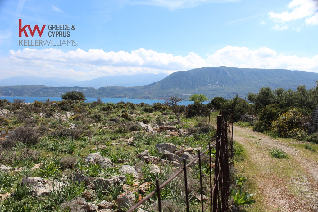 Οικόπεδο 14.244 τ.μ. προς πώληση, Αρώνι