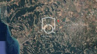 Αγροτεμάχια 4.000 τ.μ. για πώληση
