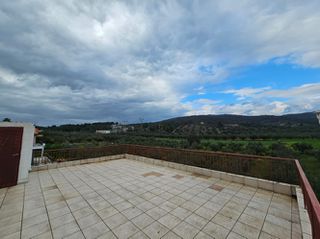Μονοκατοικία 200 τ.μ. για πώληση, Εύβοια, Ερέτρια-thumb-8