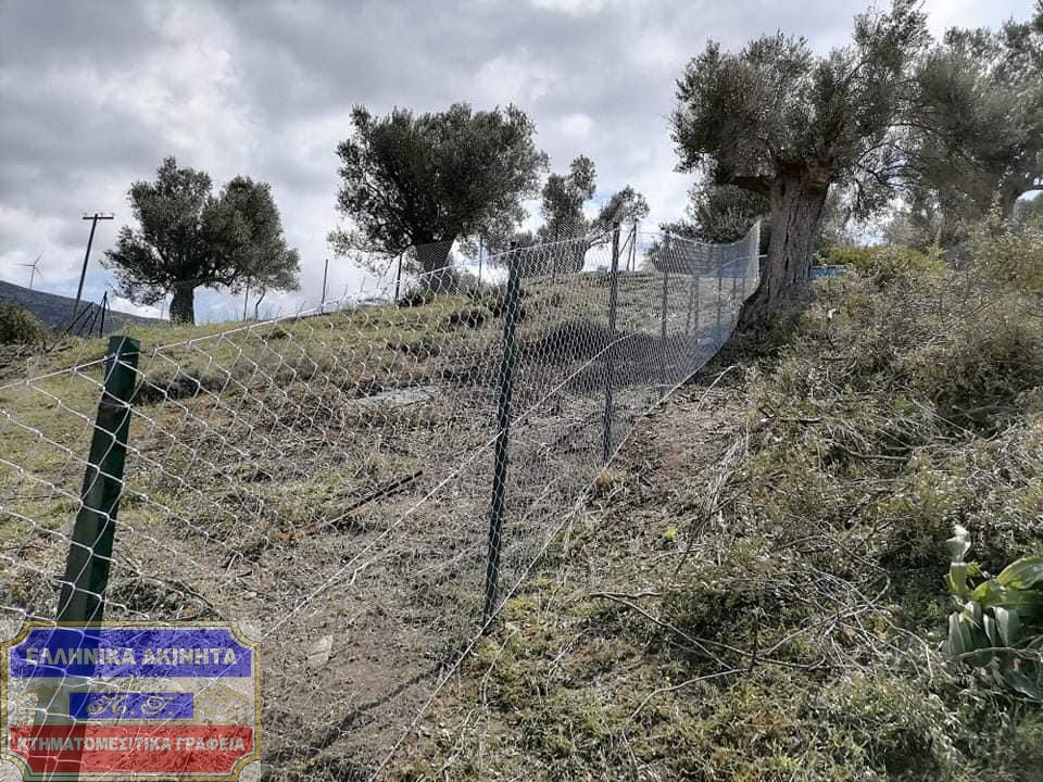 Οικόπεδο 375 τ.μ. προς πώληση, Άνω Βάθεια
