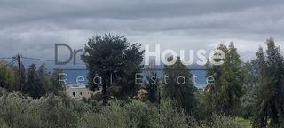 Studio / γκαρσονιέρα 30 τ.μ. πρός ενοικίαση, Αχαΐα, Ρίο-thumb-3