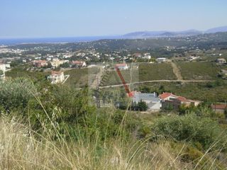 Άλλο 475 τ.μ. για πώληση