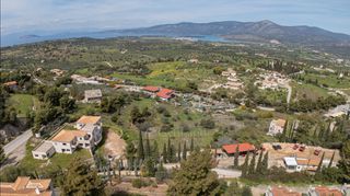 Αγροτεμάχια 8.600 τ.μ. για πώληση, Αργολίδα, Κρανίδι-thumb-6