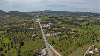 Αγροτεμάχια 6.329 τ.μ. για πώληση
