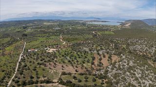 Αγροτεμάχια 18.587 τ.μ. για πώληση