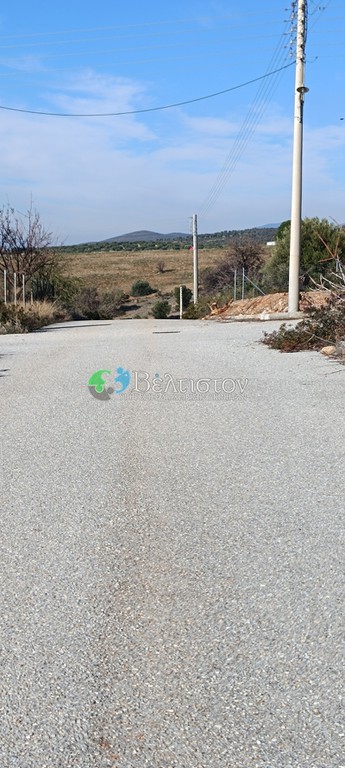 Οικόπεδο 500 τ.μ. προς πώληση, Χαλκιδική, Πολύγυρος
