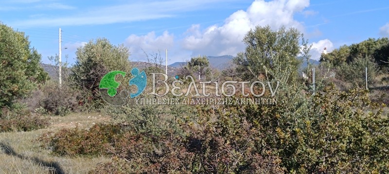 Οικόπεδο 500 τ.μ. προς πώληση, Χαλκιδική, Πολύγυρος