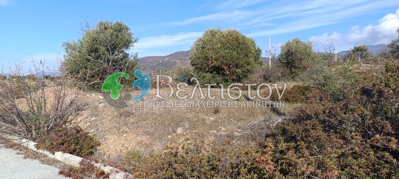 Οικόπεδο 500 τ.μ. προς πώληση, Χαλκιδική, Πολύγυρος