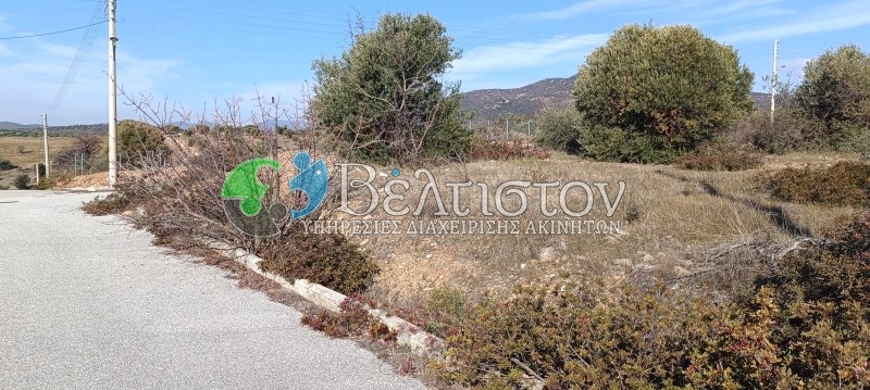 Οικόπεδο 500 τ.μ. προς πώληση, Χαλκιδική, Πολύγυρος