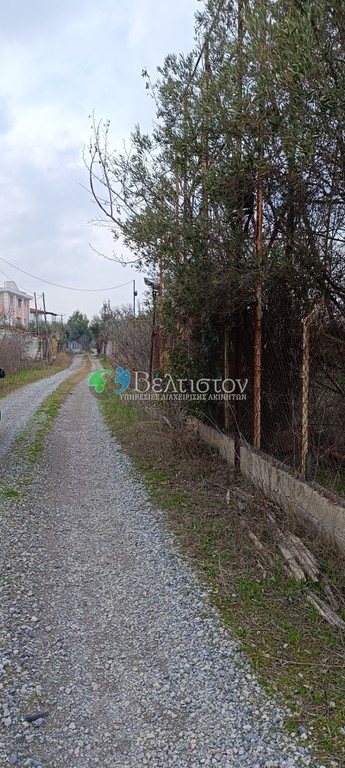 Αγροτεμάχια 1.850 τ.μ. πρός πώληση, Θεσσαλονίκη - Περιφ/Κοί Δήμοι, Μίκρα