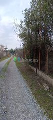 Αγροτεμάχια 1.850 τ.μ. για πώληση