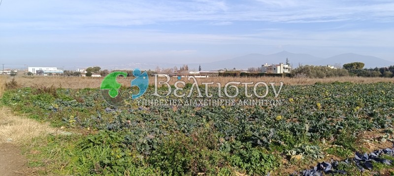 Αγροτεμάχια 7.814 τ.μ. πρός πώληση, Θεσσαλονίκη - Περιφ/Κοί Δήμοι, Θέρμη