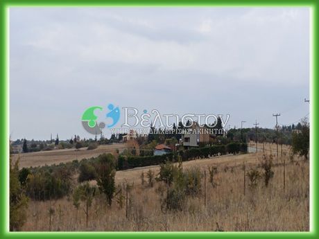 Αγροτεμάχια 20.000 τ.μ. πρός πώληση