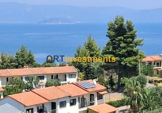 Αγροτεμάχια 4.000 τ.μ. για πώληση