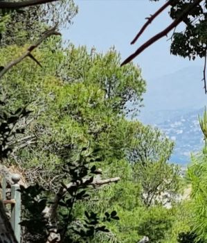 Οικόπεδο 752 τ.μ. προς πώληση