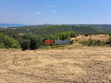 Αγροτεμάχια 4.000 τ.μ. προς πώληση
