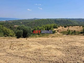 Αγροτεμάχια 4.000 τ.μ. για πώληση