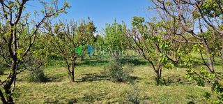 Αγροτεμάχια 7.400 τ.μ. για πώληση