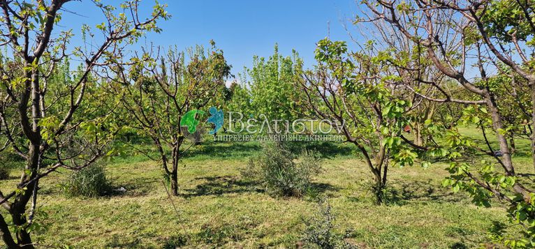 Αγροτεμάχια 7.400 τ.μ. για πώληση, Θεσσαλονίκη - Περιφ/Κοί Δήμοι, Μηχανιώνα