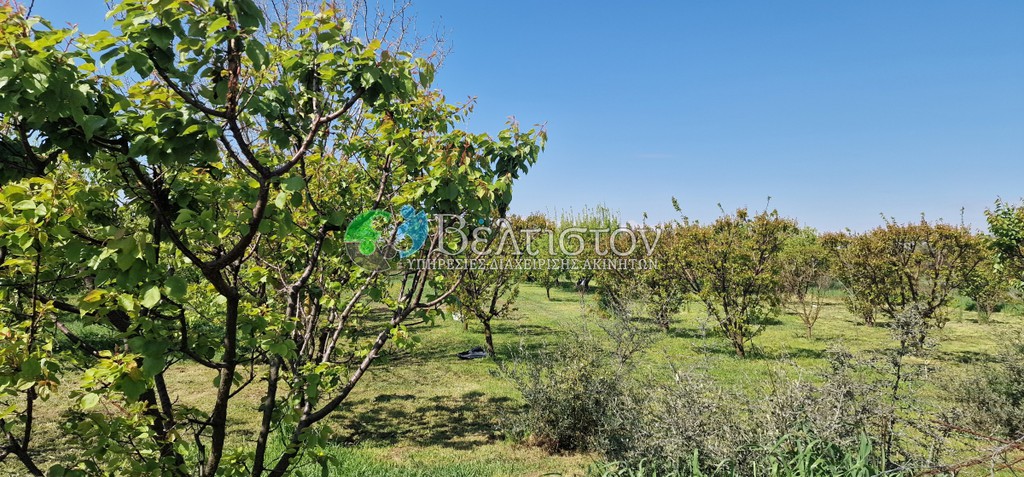 Αγροτεμάχια 7.400 τ.μ. πρός πώληση, Θεσσαλονίκη - Περιφ/Κοί Δήμοι, Μηχανιώνα