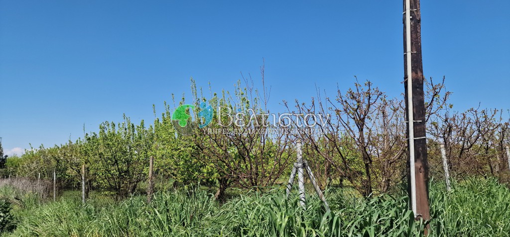 Αγροτεμάχια 7.400 τ.μ. πρός πώληση, Θεσσαλονίκη - Περιφ/Κοί Δήμοι, Μηχανιώνα