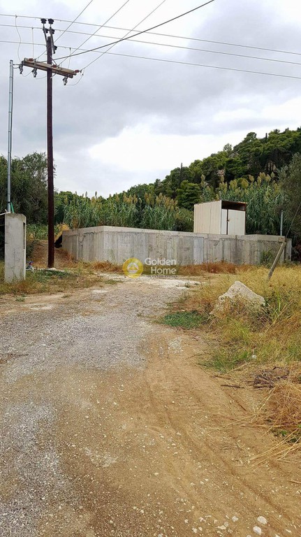 Αγροτεμάχια 6.700 τ.μ. προς πώληση, Οικοδομικός Συνεταιρισμός Υπαλλήλων ΔΕΗ