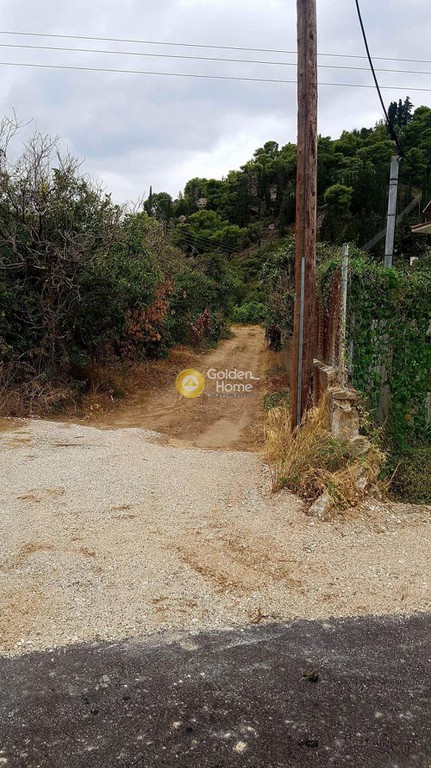 Αγροτεμάχια 6.700 τ.μ. προς πώληση, Οικοδομικός Συνεταιρισμός Υπαλλήλων ΔΕΗ