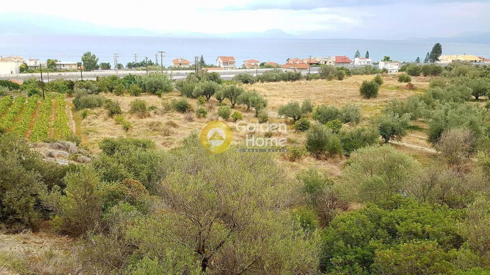 Αγροτεμάχια 6.700 τ.μ. προς πώληση, Οικοδομικός Συνεταιρισμός Υπαλλήλων ΔΕΗ