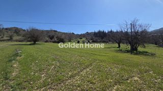 Οικόπεδο 1.000 τ.μ. για πώληση