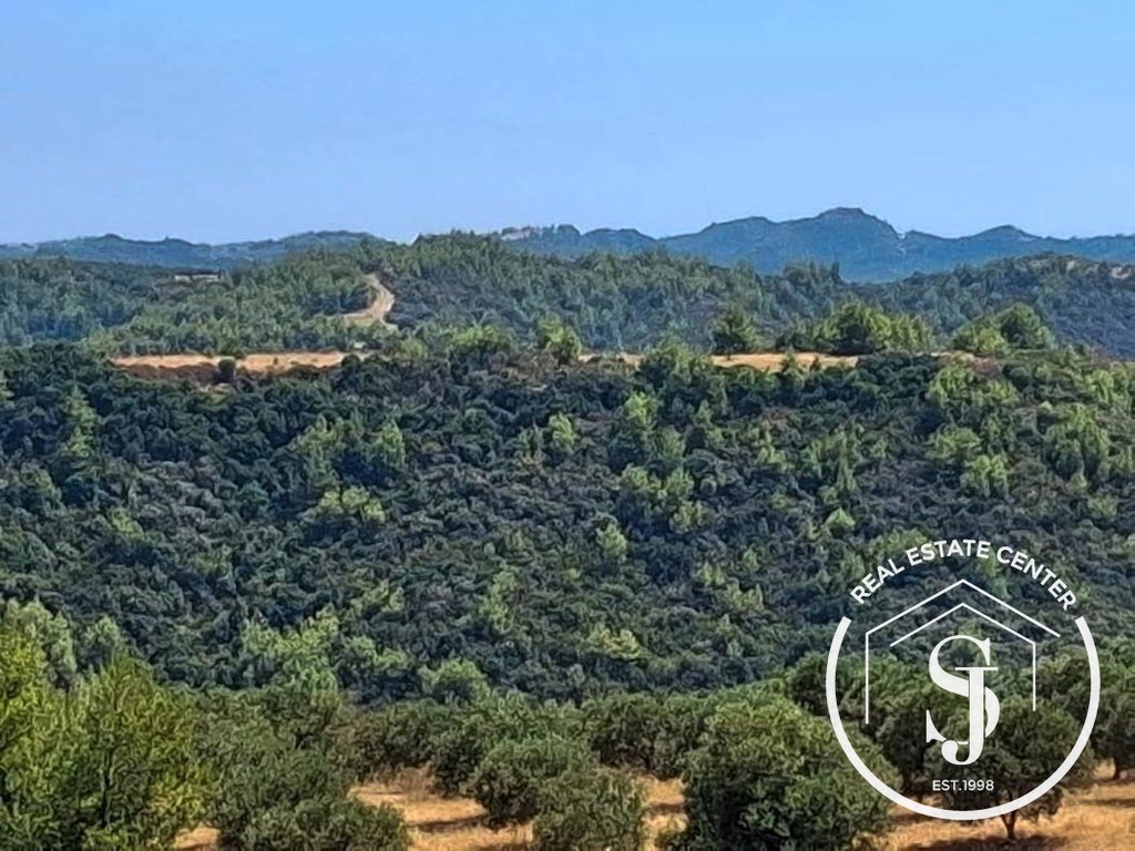 Αγροτεμάχια 4.000 τ.μ. προς πώληση, Χανιώτης