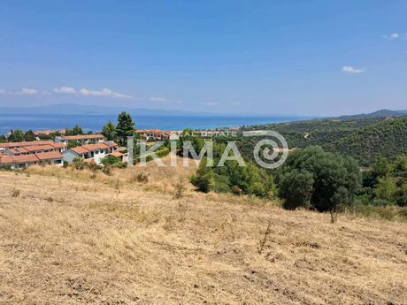 Αγροτεμάχια 4.000 τ.μ. προς πώληση