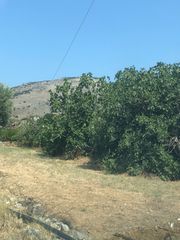 Οικόπεδο 2.107 τ.μ. για πώληση, Δωδεκάνησα, Κάλυμνος-thumb-2