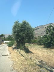 Οικόπεδο 2.107 τ.μ. για πώληση, Δωδεκάνησα, Κάλυμνος-thumb-3