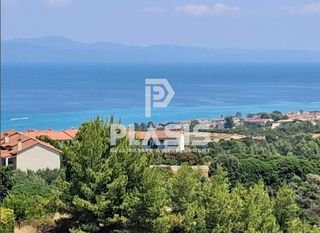Αγροτεμάχια 4.000 τ.μ. για πώληση