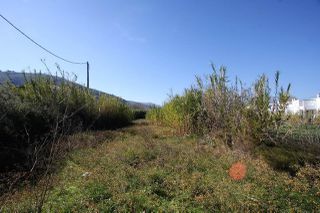 Οικόπεδο 1.510,19 τ.μ. για πώληση, Αργολίδα, Λέρνα-thumb-6