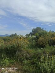 Οικόπεδο 4.118 τ.μ. για πώληση