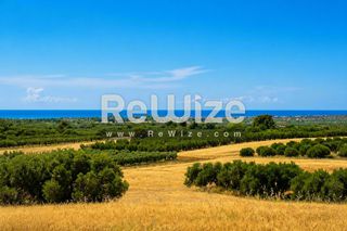 Αγροτεμάχια 9.650 τ.μ. προς πώληση, Καλάνδρα-thumb-4