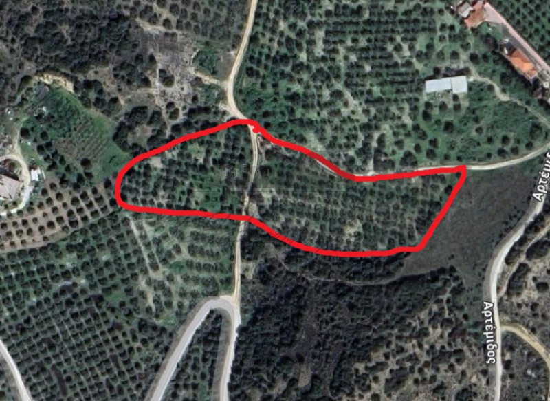 Αγροτεμάχια 11.630 τ.μ. πρός πώληση, Μαγνησία, Αισωνία