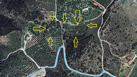 Αγροτεμάχια 11.630 τ.μ. πρός πώληση