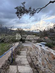 Οικόπεδο 190 τ.μ. πρός πώληση, Ν. Χανίων, Κρυονερίδα-thumb-5
