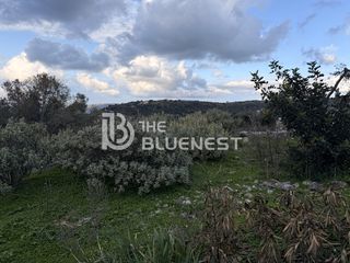 Οικόπεδο 190 τ.μ. πρός πώληση, Ν. Χανίων, Κρυονερίδα-thumb-11
