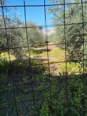 Οικόπεδο 850 τ.μ. για πώληση