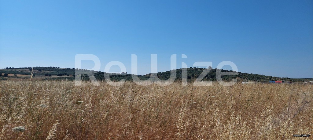 Αγροτεμάχια 6.770 τ.μ. προς πώληση, Νέα Μουδανιά