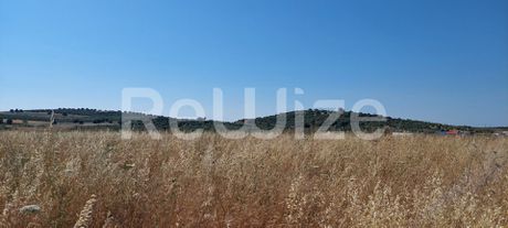 Αγροτεμάχια 6.770 τ.μ. προς πώληση