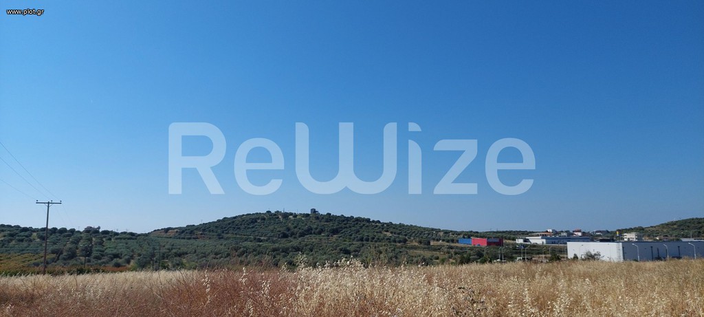 Αγροτεμάχια 6.770 τ.μ. προς πώληση, Νέα Μουδανιά
