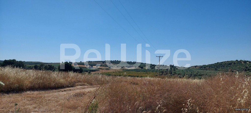 Αγροτεμάχια 6.770 τ.μ. προς πώληση, Νέα Μουδανιά