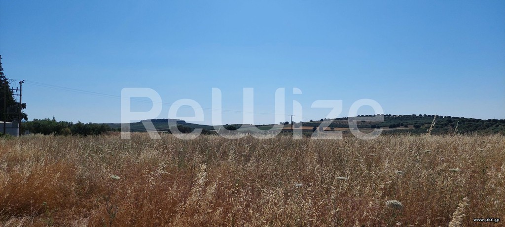 Αγροτεμάχια 6.770 τ.μ. προς πώληση, Νέα Μουδανιά